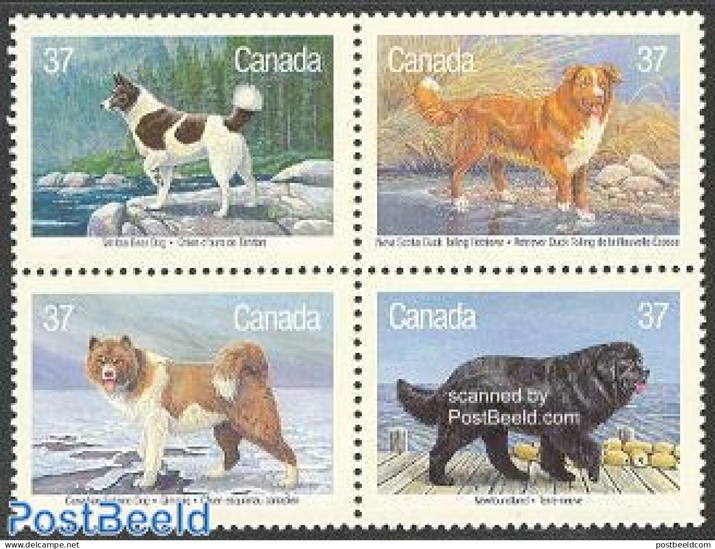 Canada 1988 Dogs 4v [+], Mint NH, Nature - Dogs - Unused Stamps