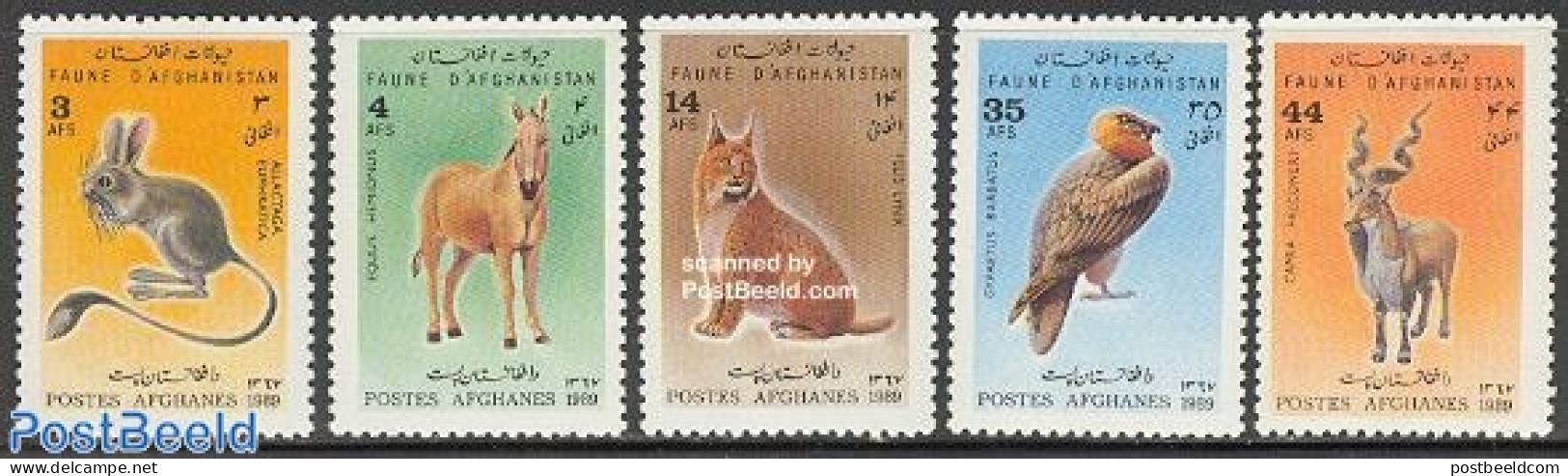 Afghanistan 1989 Animals 5v, Mint NH, Nature - Animals (others & Mixed) - Birds - Cat Family - Afganistán