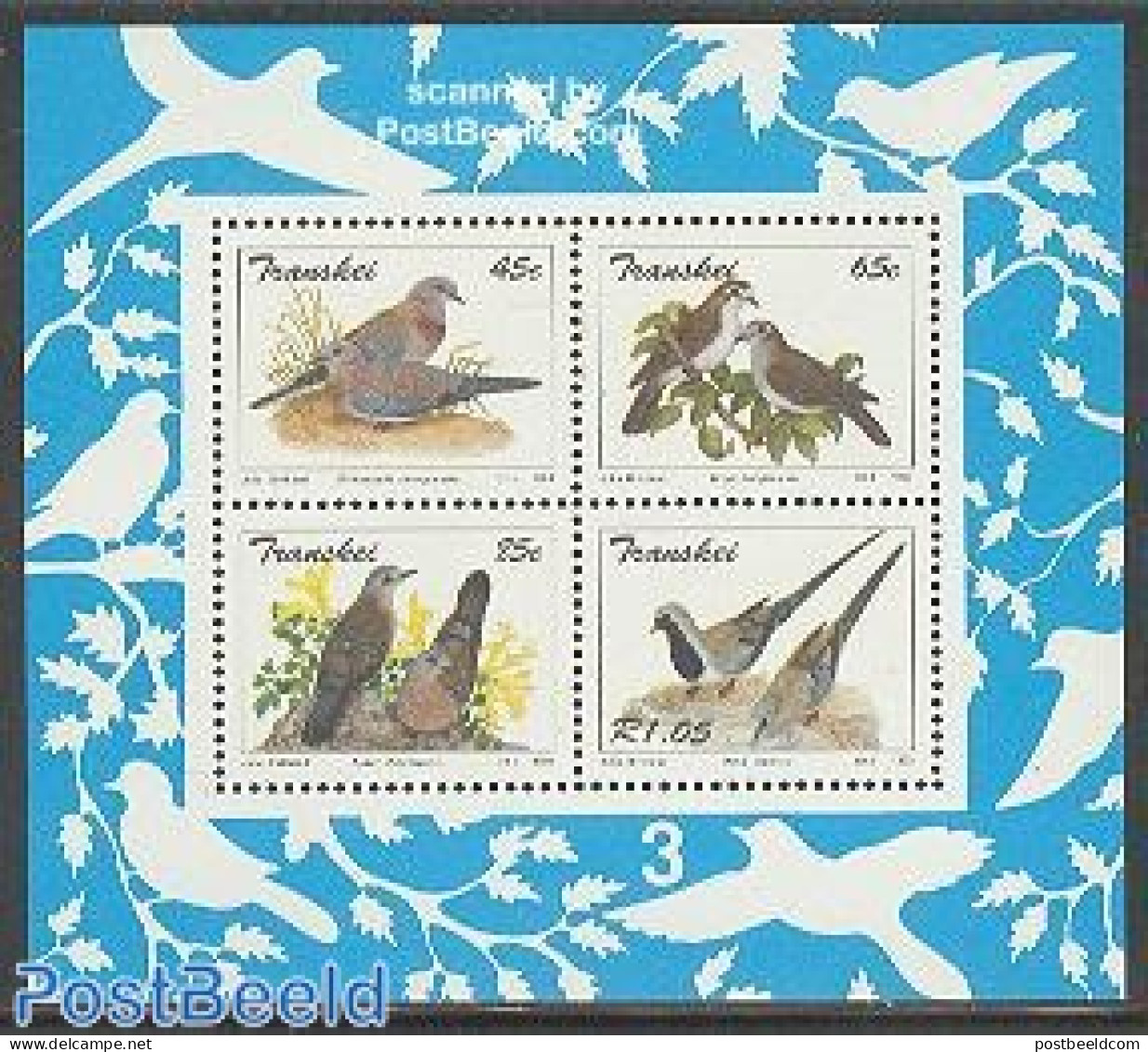 South Africa, Transkei 1993 Pigeons S/s, Mint NH, Nature - Birds - Pigeons - Transkei