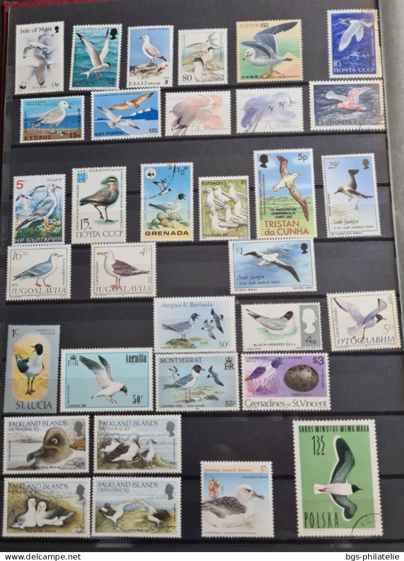 Collection De Timbres Sur Le Thème Oiseaux. - Collections (without Album)