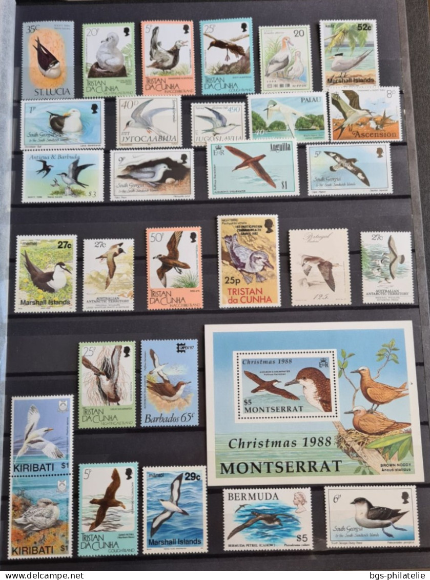 Collection De Timbres Sur Le Thème Oiseaux. - Collections (without Album)