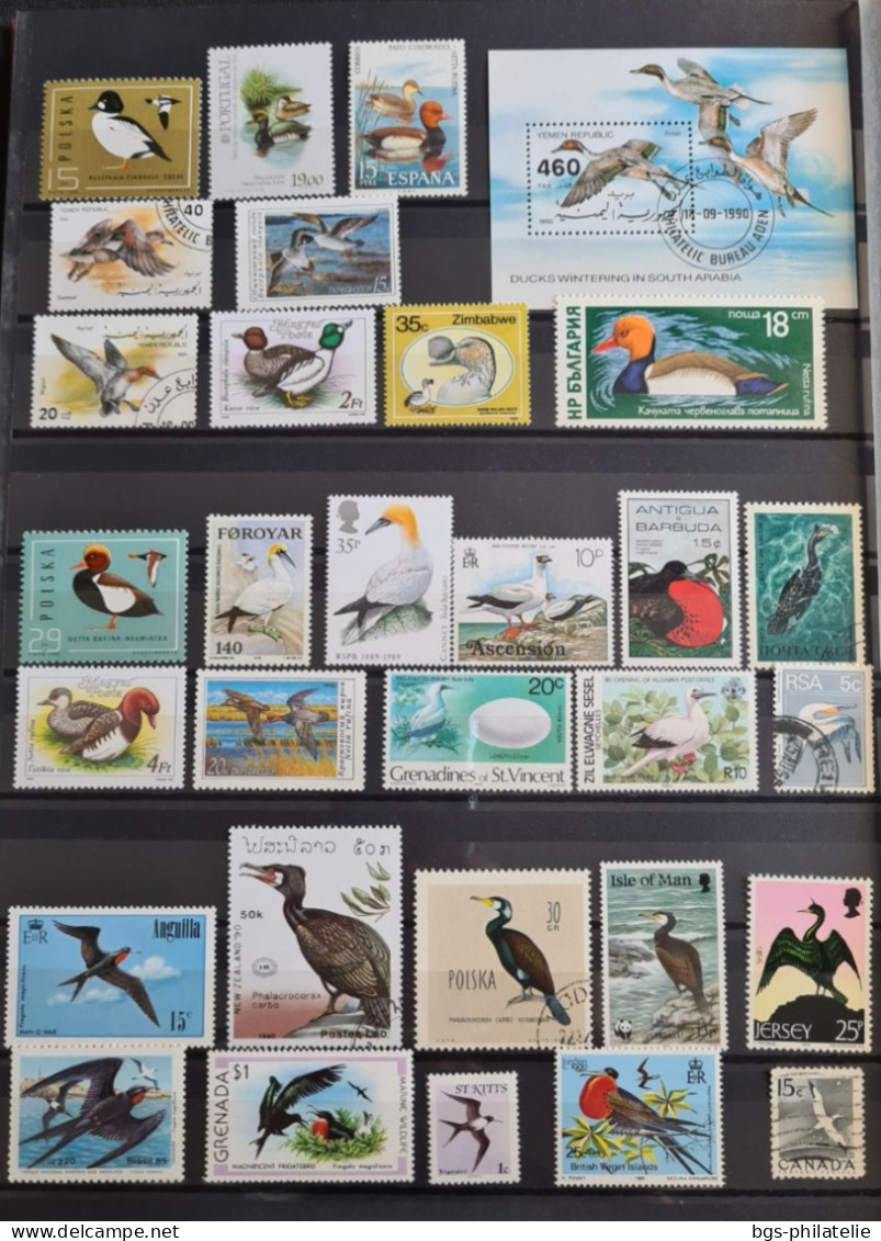 Collection de timbres sur le thème Oiseaux.