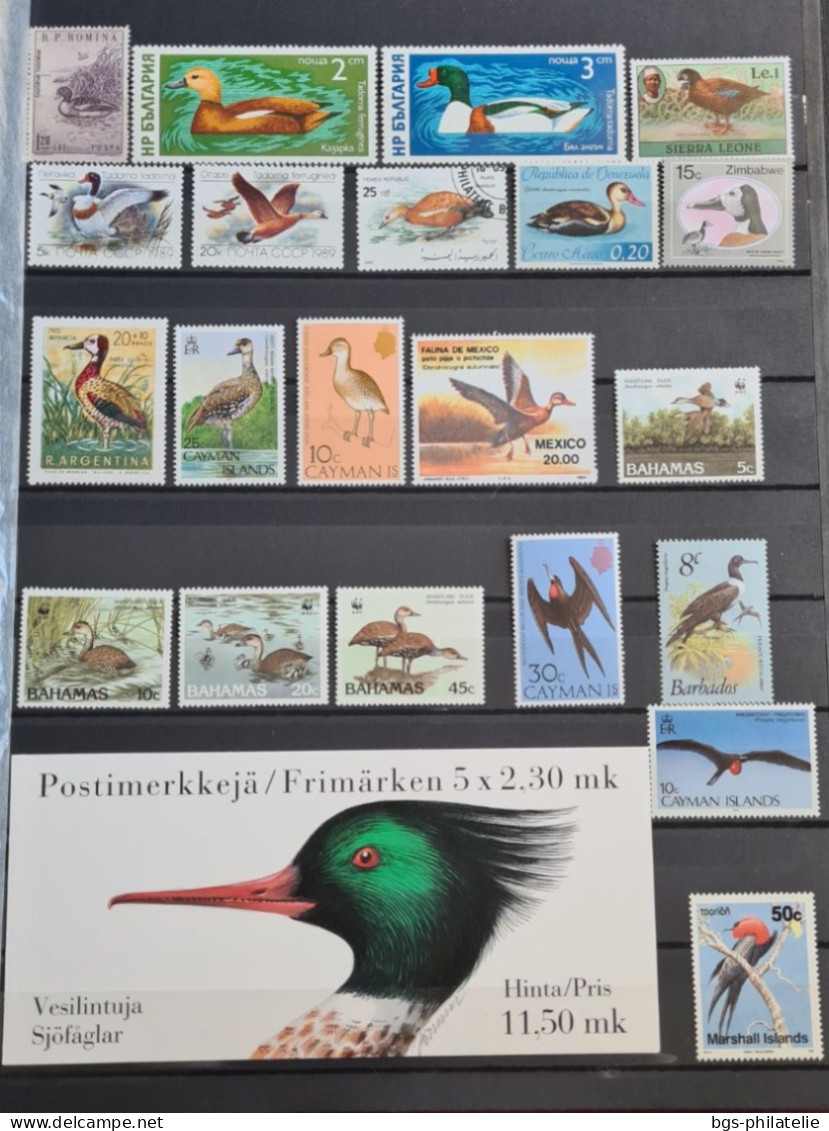 Collection de timbres sur le thème Oiseaux.