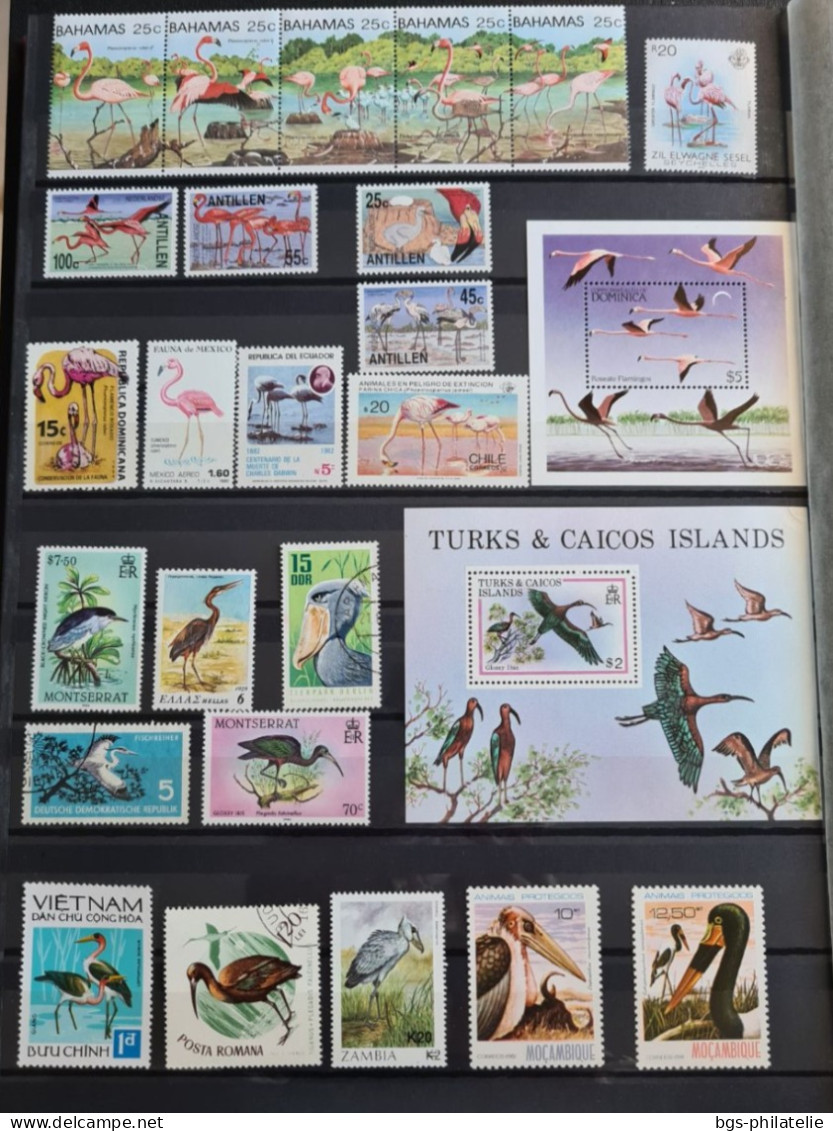 Collection de timbres sur le thème Oiseaux.