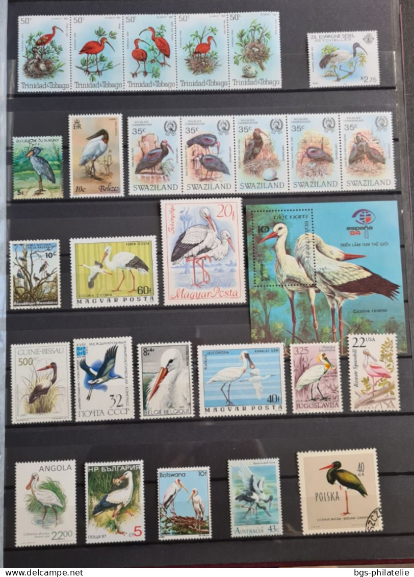 Collection de timbres sur le thème Oiseaux.