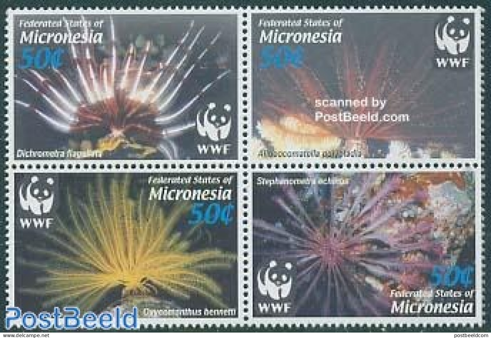 Micronesia 2005 WWF, Corals 4v [+] Or [:::], Mint NH, Nature - World Wildlife Fund (WWF) - Micronesië