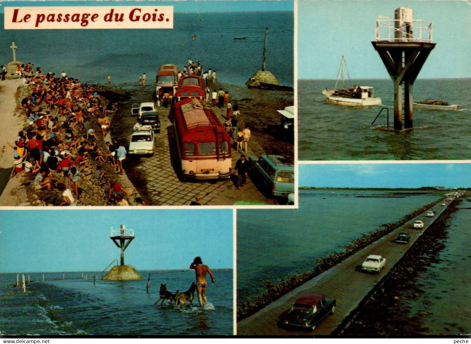 N°829 Z -cpsm Le Passage Du Gois -autocar Et Voitures- - Buses & Coaches