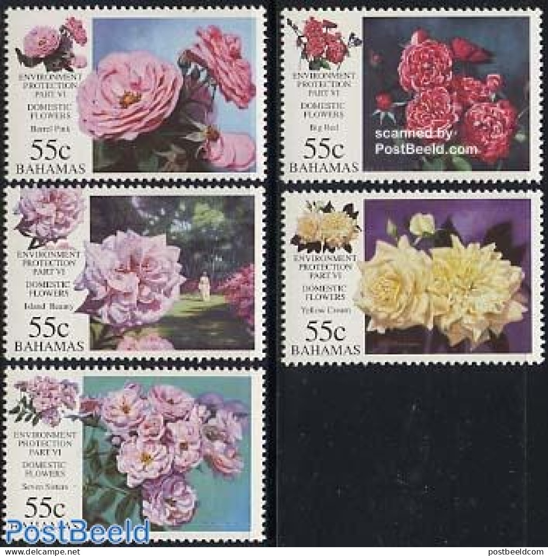 Bahamas 1998 Roses 5v, Mint NH, Nature - Flowers & Plants - Roses - Otros & Sin Clasificación
