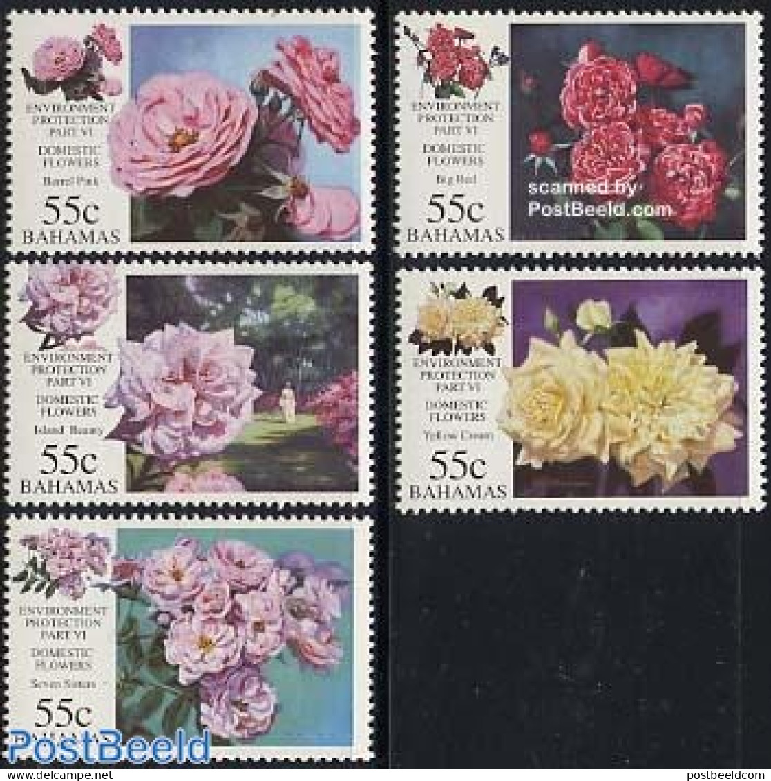 Bahamas 1998 Roses 5v, Mint NH, Nature - Flowers & Plants - Roses - Other & Unclassified