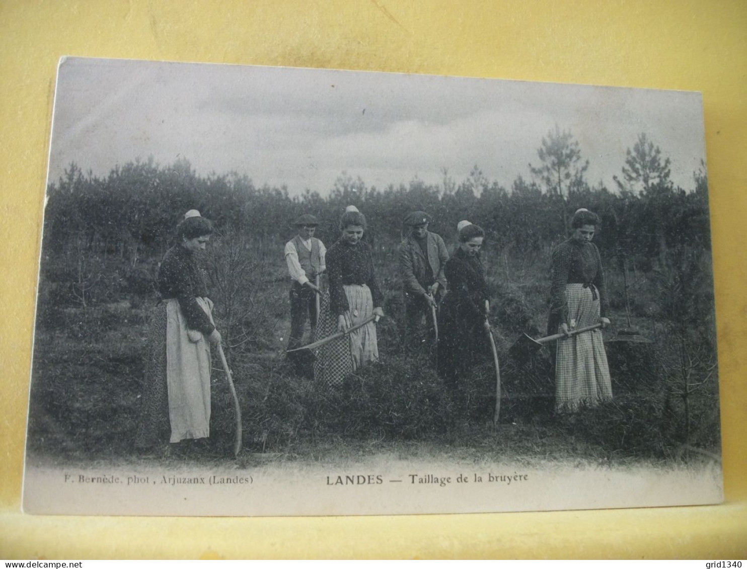 40 3434 CPA - AUTRE VUE N° 3 - 40 LANDES - TAILLAGE DE LA BRUYERE - ANIMATION. - Cultures