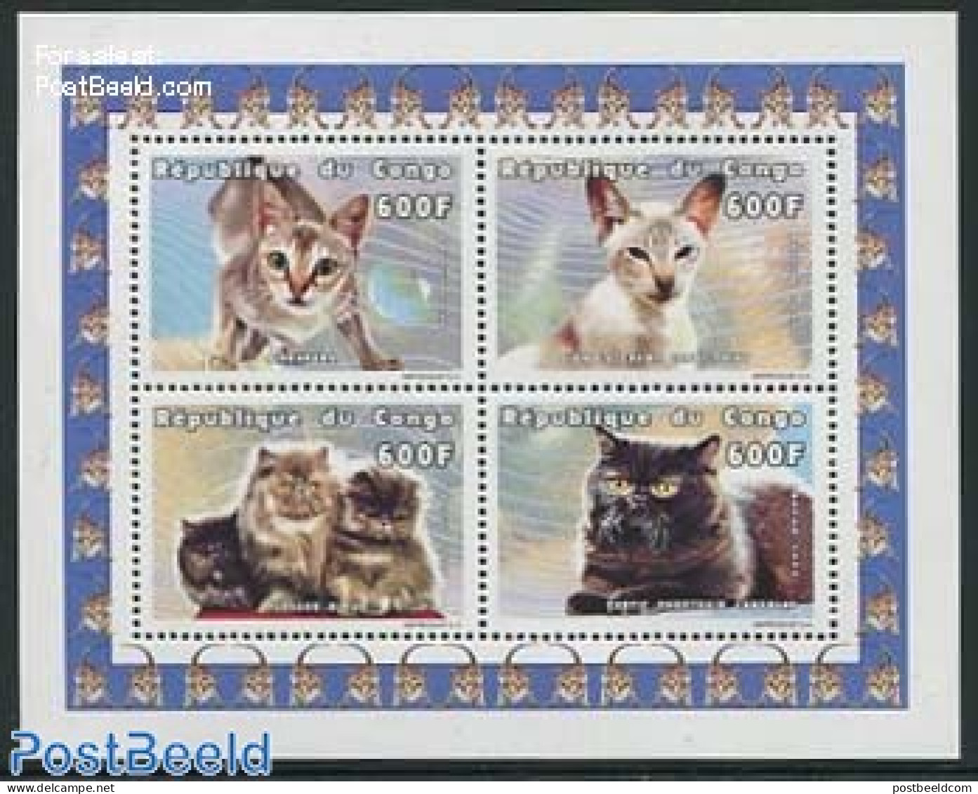 Congo Republic 1999 Cats 4v M/s, Mint NH, Nature - Cats - Otros & Sin Clasificación