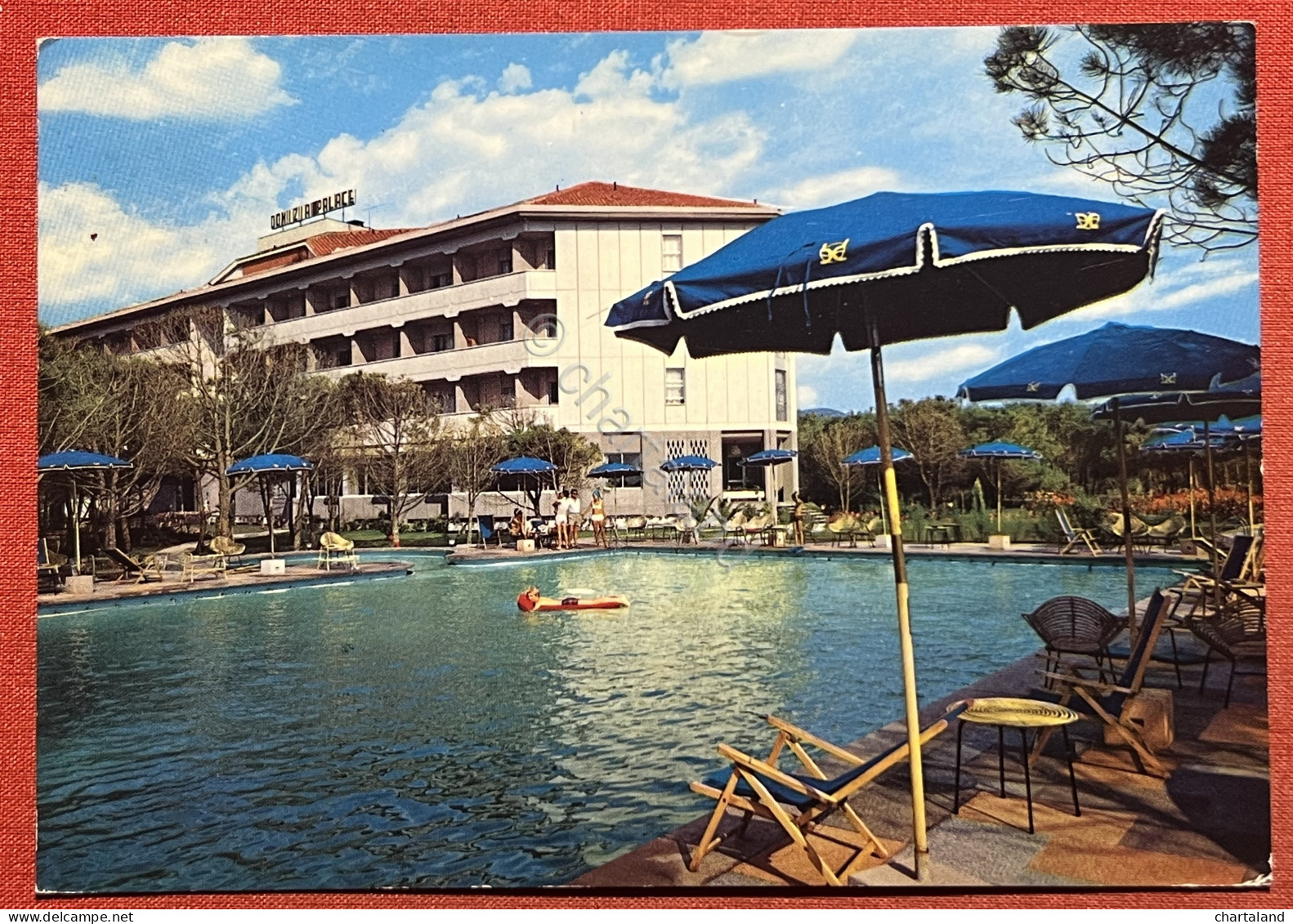 Cartolina - Baia Domizia ( Caserta ) - Domizia Palace Hotel - La Piscina - 1970 - Caserta