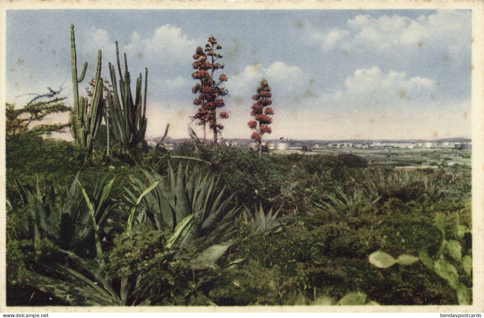 Curacao, N.W.I., Country Side With Oil Refinery (1930s) Foto Fischer Postcard - Curaçao