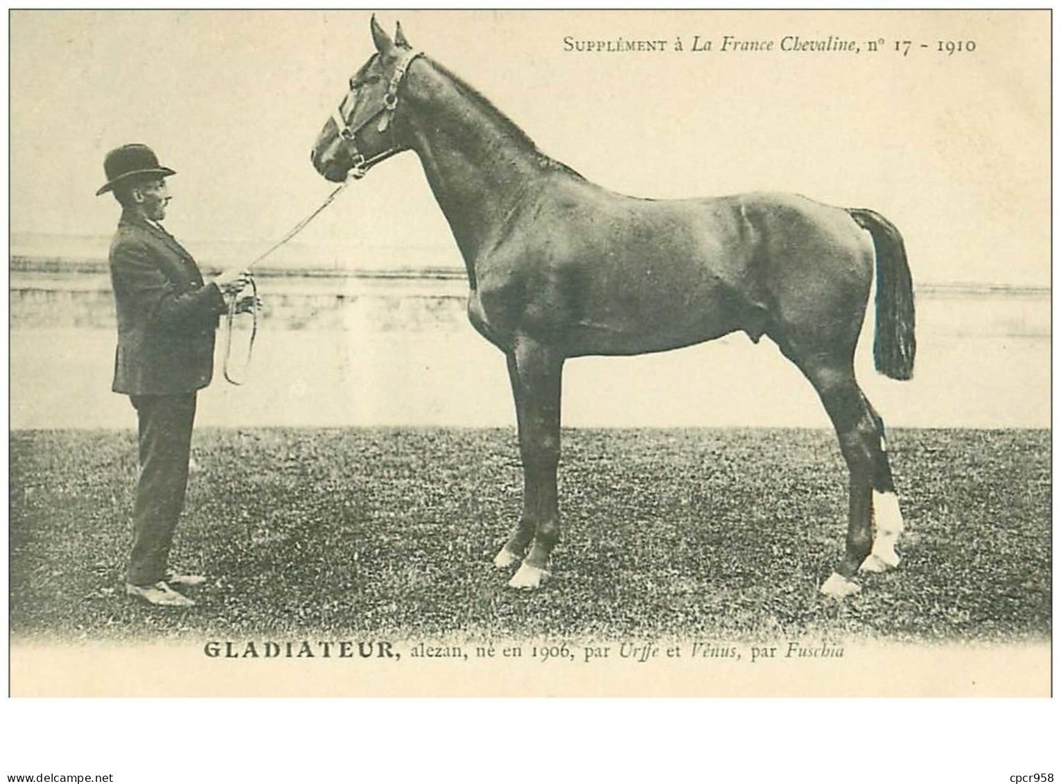 Hippisme.n°37651.gladiateur.alezan .1910.CHEVAUX.SUPPLEMENT A LA FRANCE CHEVALINE.course.cheval.jokey. - Reitsport