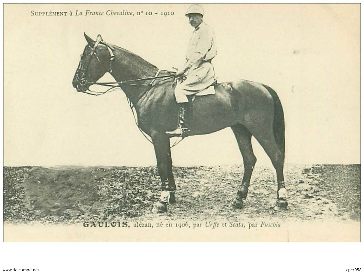 Hippisme.n°37645.gaulois.alezan .1910.CHEVAUX.SUPPLEMENT A LA FRANCE CHEVALINE.course.cheval.jokey. - Reitsport