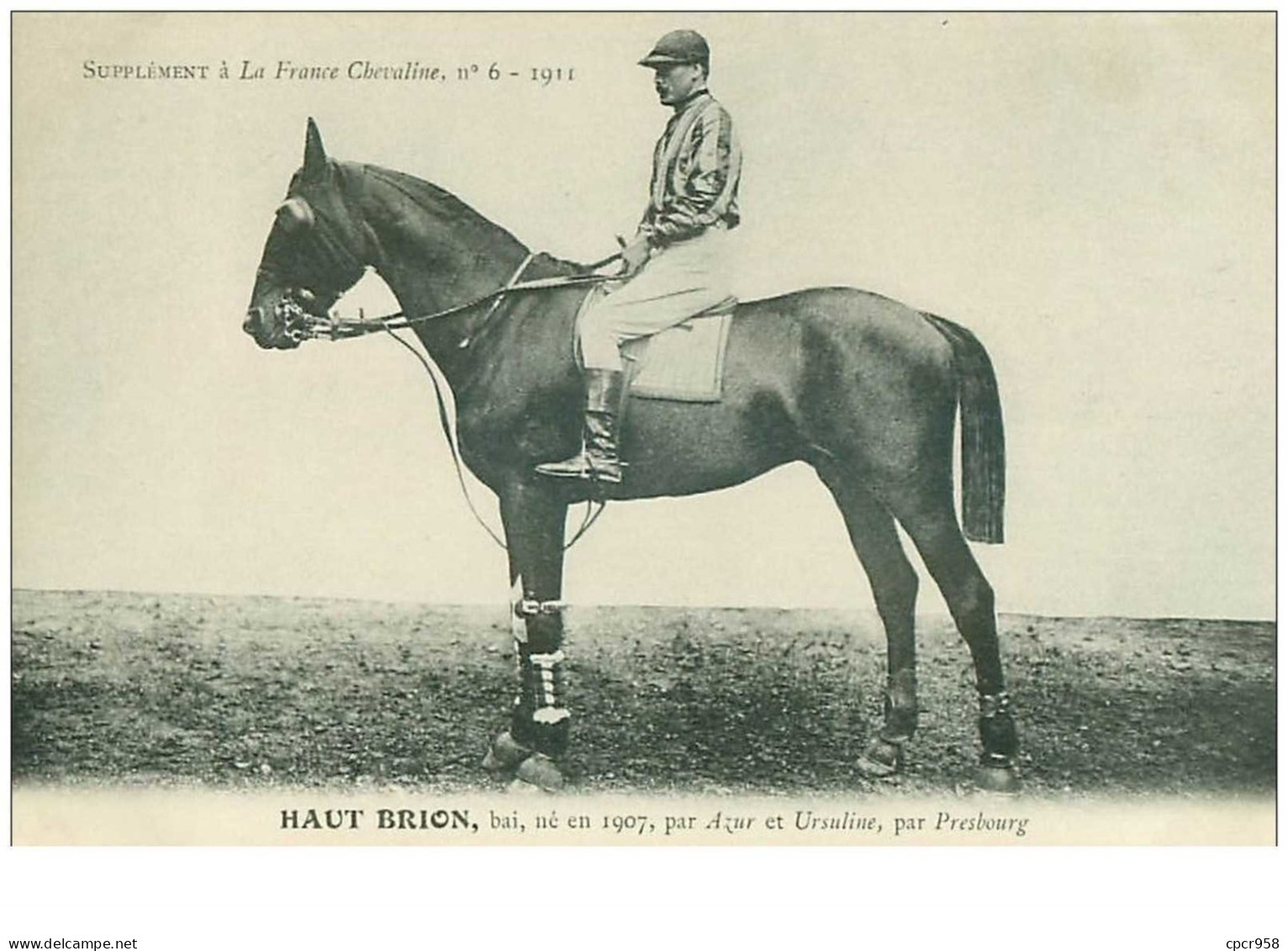 Hippisme.n°37636.haut Brion.bai.1911.CHEVAUX.SUPPLEMENT A LA FRANCE CHEVALINE.course.cheval.jokey. - Reitsport