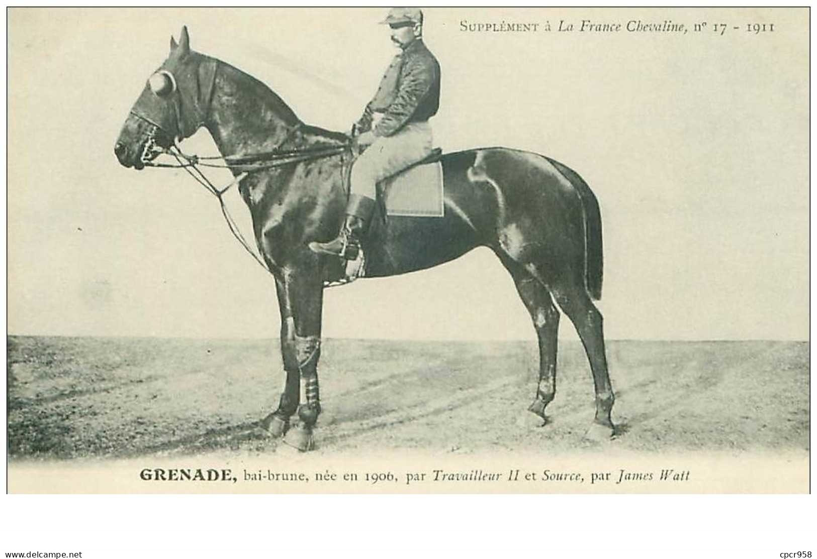 Hippisme.n°37628.grenade.bai Brune .1911.CHEVAUX.SUPPLEMENT A LA FRANCE CHEVALINE.course.cheval.jokey. - Reitsport