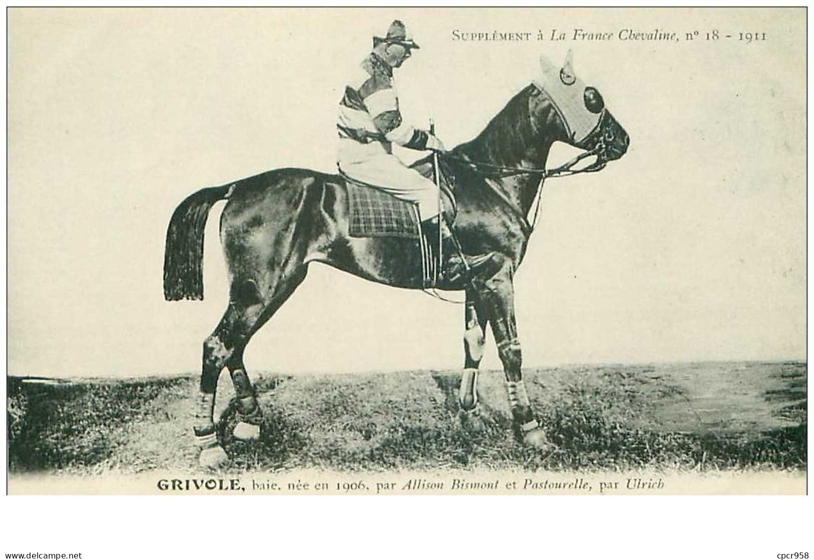 Hippisme.n°37629.grivole.baie .1911.CHEVAUX.SUPPLEMENT A LA FRANCE CHEVALINE.course.cheval.jokey. - Reitsport