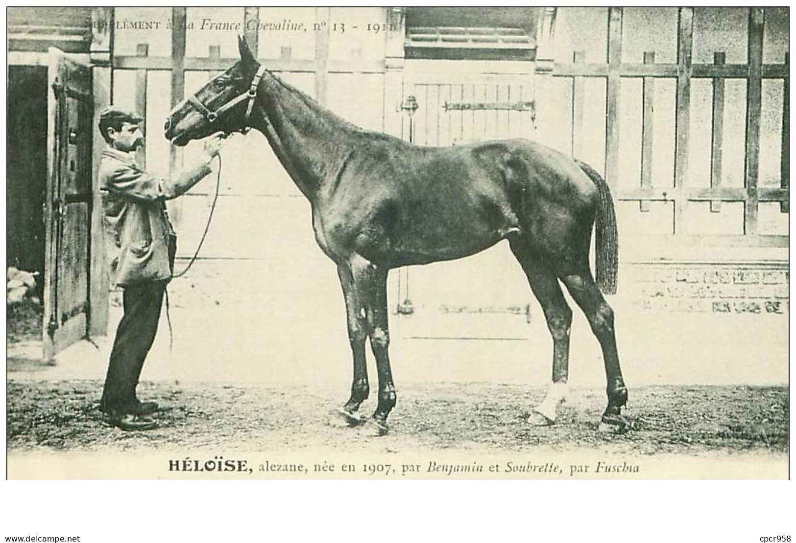 Hippisme.n°37626.heloise.alezane .1911.CHEVAUX.SUPPLEMENT A LA FRANCE CHEVALINE.course.cheval.jokey. - Reitsport