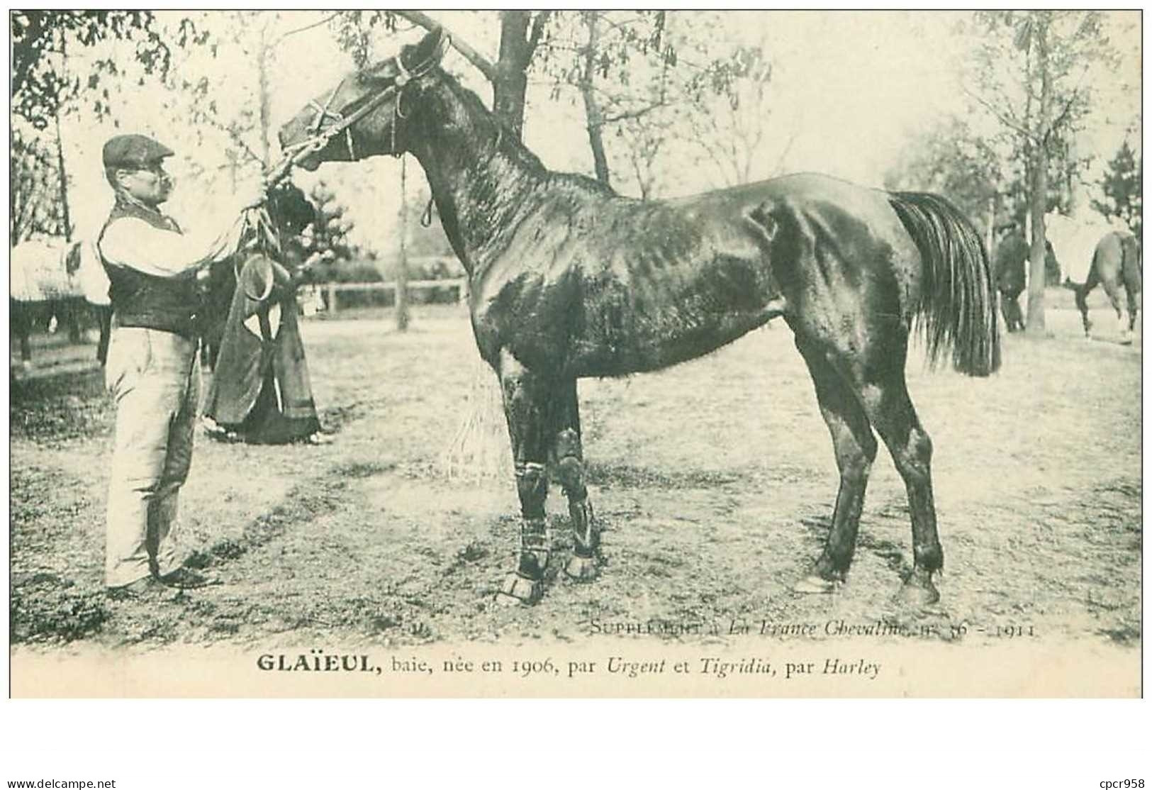 Hippisme.n°37623.glaieul.baie .1911.CHEVAUX.SUPPLEMENT A LA FRANCE CHEVALINE.course.cheval.jokey. - Reitsport