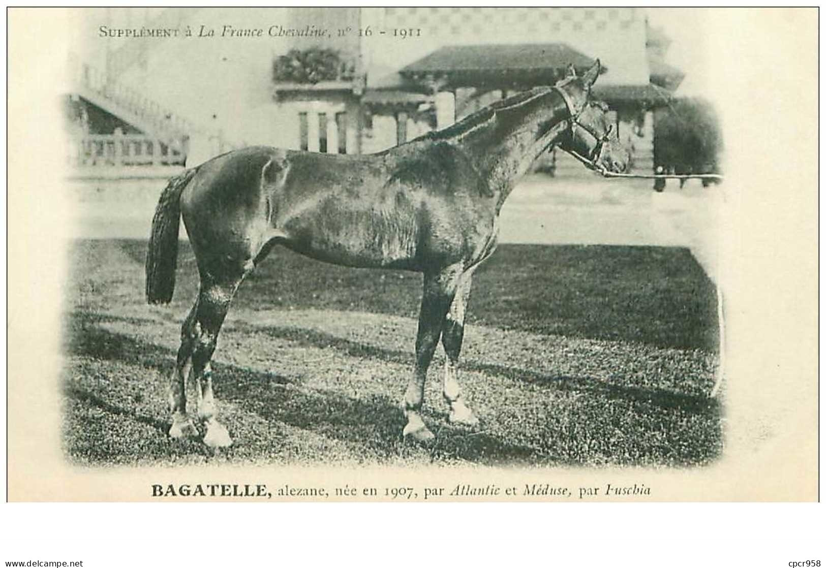 Hippisme.n°37625.bagatelle.alezane .1911.CHEVAUX.SUPPLEMENT A LA FRANCE CHEVALINE.course.cheval.jokey. - Reitsport