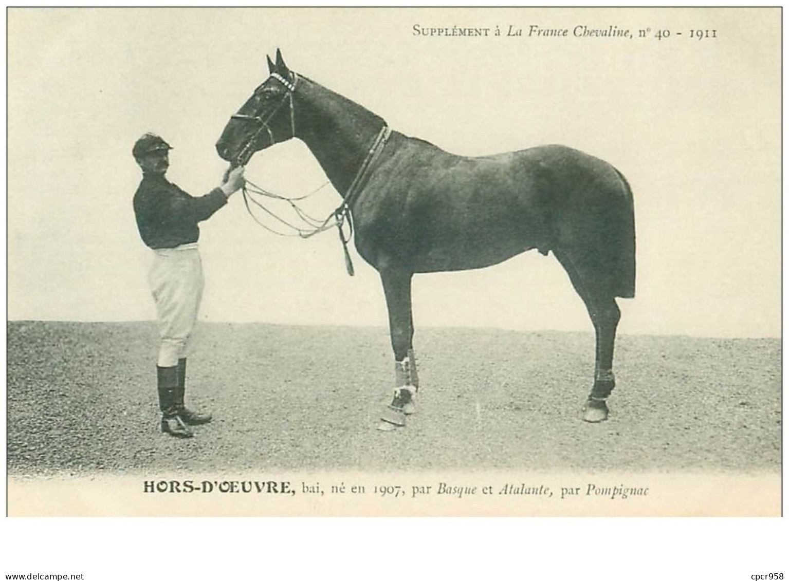 Hippisme.n°37615.hors D Oeuvre.bai .1911.CHEVAUX.SUPPLEMENT A LA FRANCE CHEVALINE.course.cheval.jokey. - Reitsport