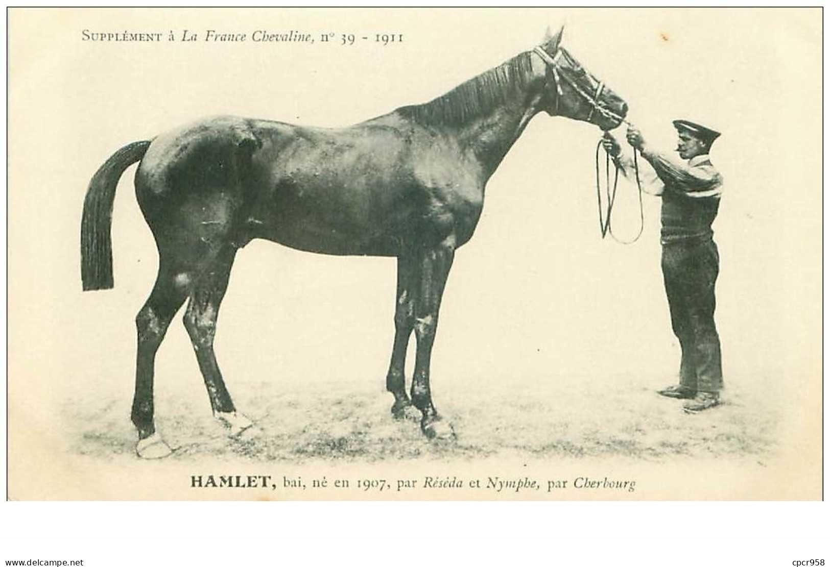 Hippisme.n°37613.hamlet.bai .1911.CHEVAUX.SUPPLEMENT A LA FRANCE CHEVALINE.course.cheval.jokey. - Horse Show