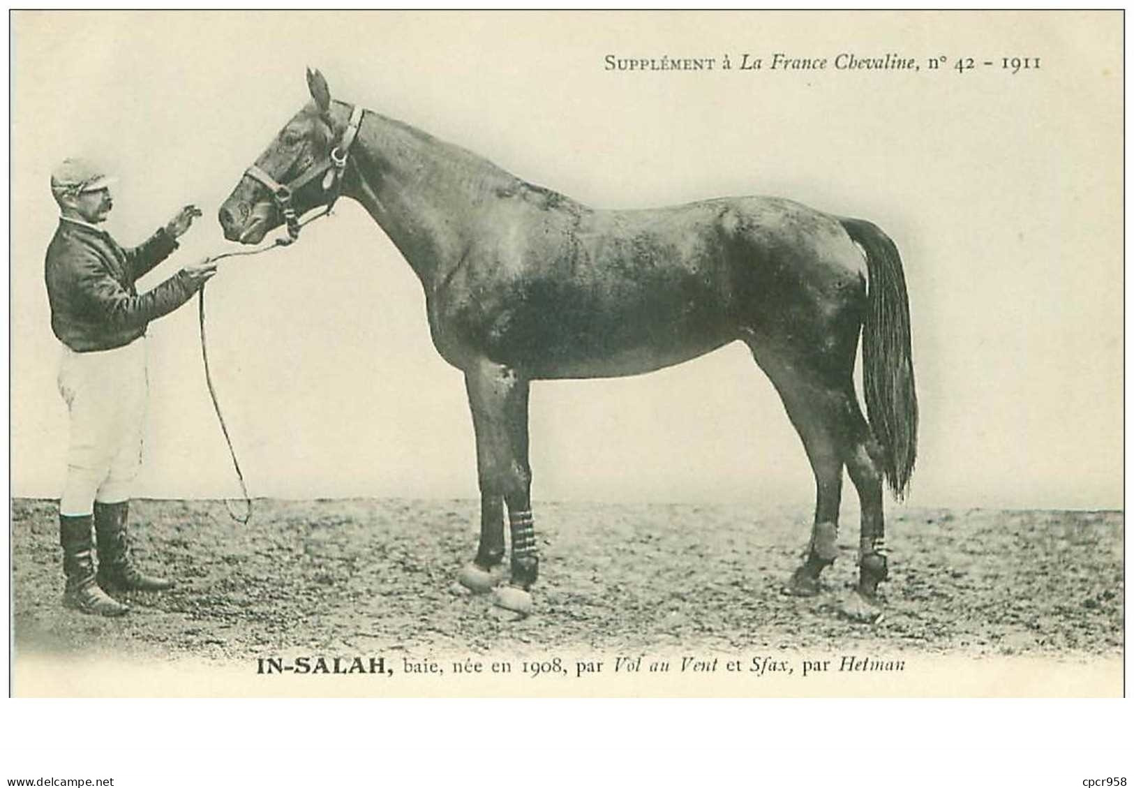 Hippisme.n°37609.in Salah.bai .1911.CHEVAUX.SUPPLEMENT A LA FRANCE CHEVALINE.course.cheval.jokey. - Reitsport