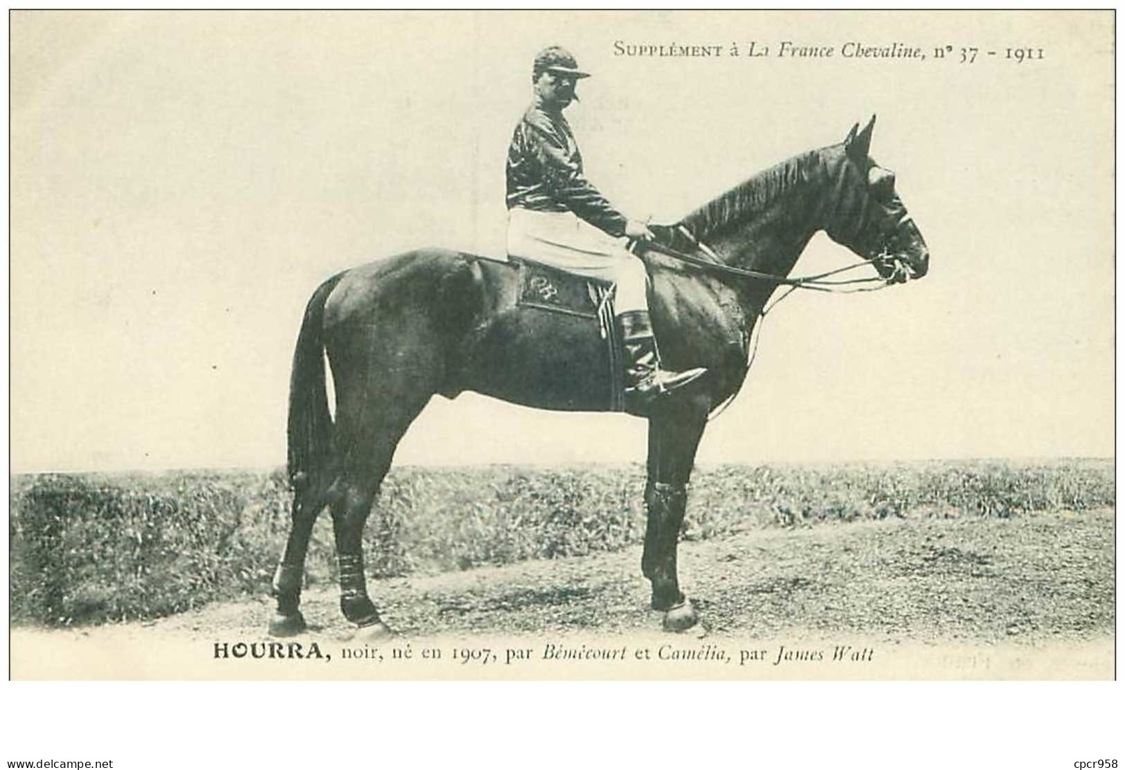 Hippisme.n°37612.hourra.noir .1911.CHEVAUX.SUPPLEMENT A LA FRANCE CHEVALINE.course.cheval.jokey. - Reitsport