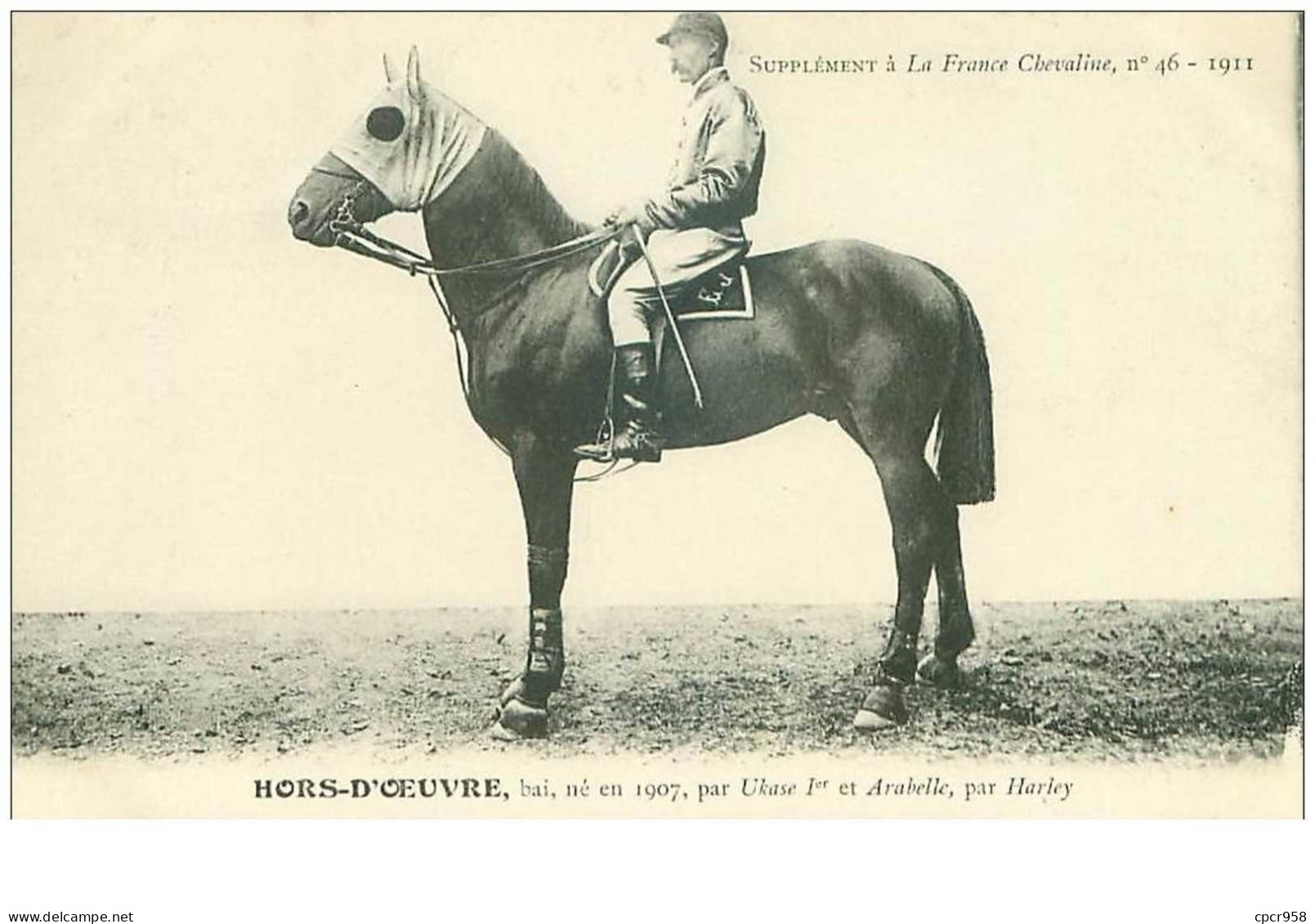 Hippisme.n°37606.hors D Oeuvre.baie .1911.CHEVAUX.SUPPLEMENT A LA FRANCE CHEVALINE.course.cheval.jokey. - Reitsport