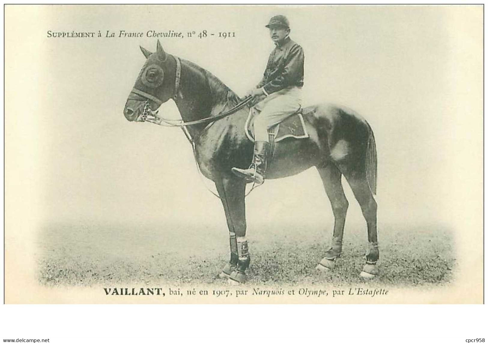 Hippisme.n°37607.vaillant.baie .1911.CHEVAUX.SUPPLEMENT A LA FRANCE CHEVALINE.course.cheval.jokey. - Reitsport