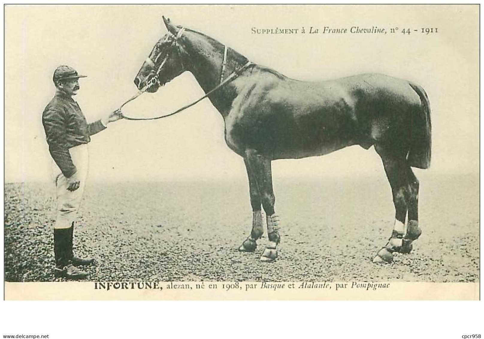 Hippisme.n°37611.infortuné.alezan .1911.CHEVAUX.SUPPLEMENT A LA FRANCE CHEVALINE.course.cheval.jokey. - Reitsport