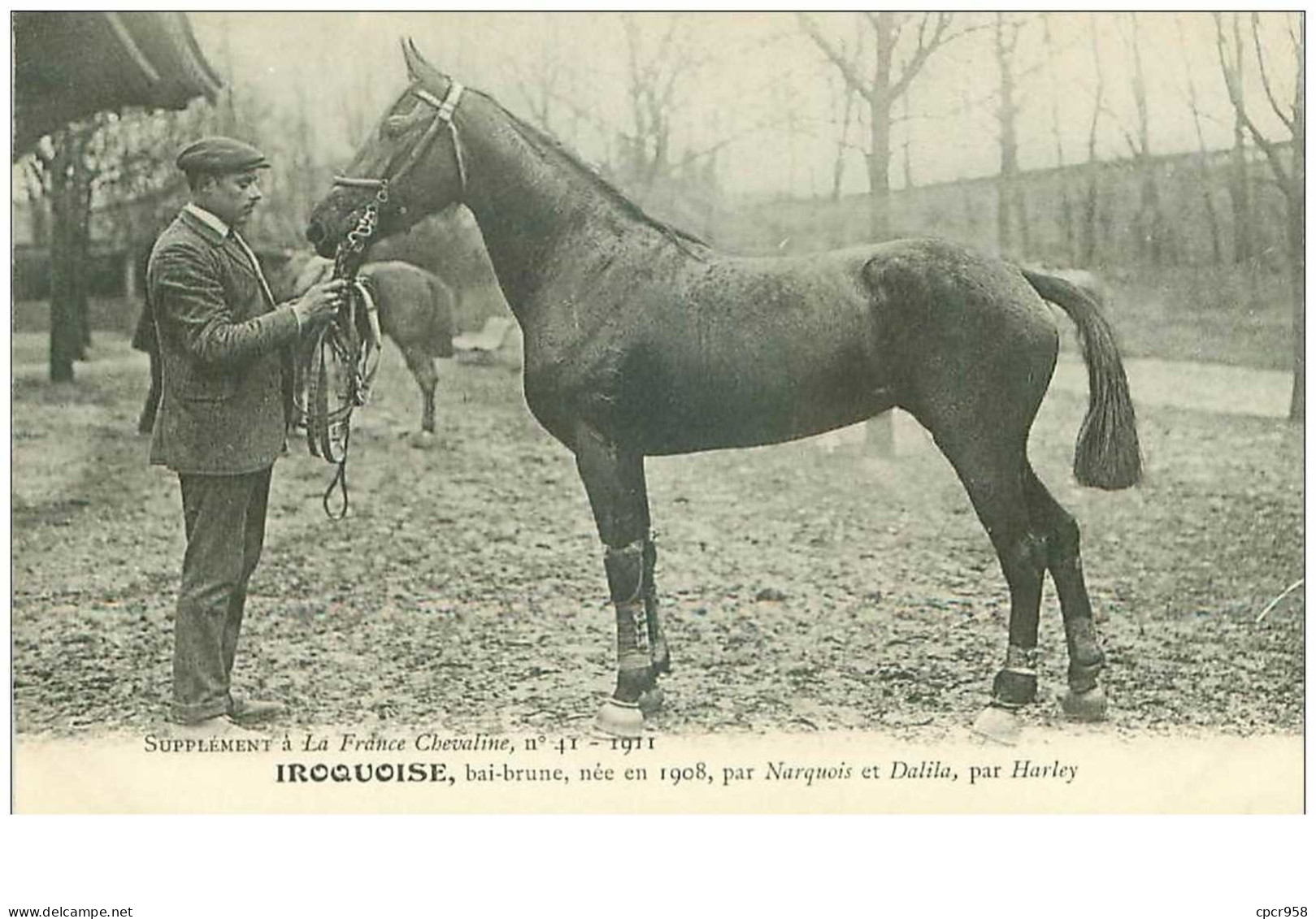 Hippisme.n°37608.iroquoise.bai Brune .1911.CHEVAUX.SUPPLEMENT A LA FRANCE CHEVALINE.course.cheval.jokey. - Horse Show