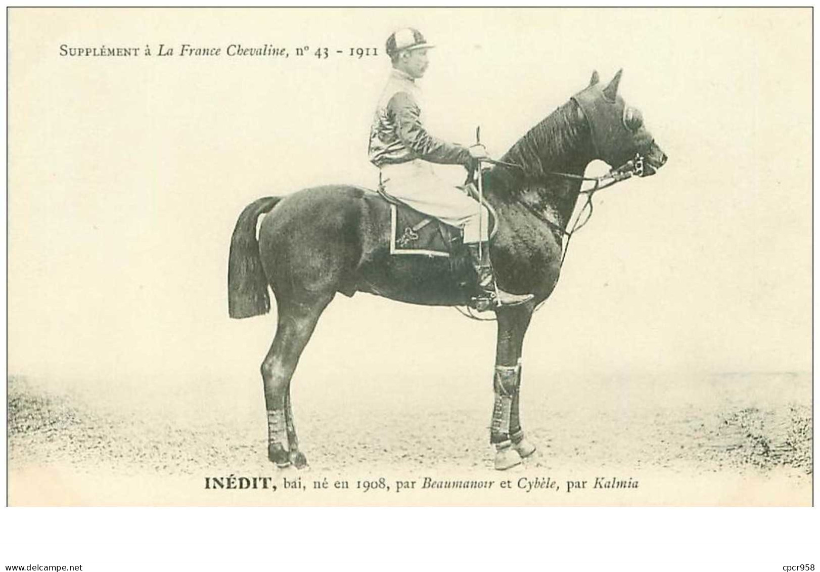 Hippisme.n°37610.inedit.bai .1911.CHEVAUX.SUPPLEMENT A LA FRANCE CHEVALINE.course.cheval.jokey. - Hípica