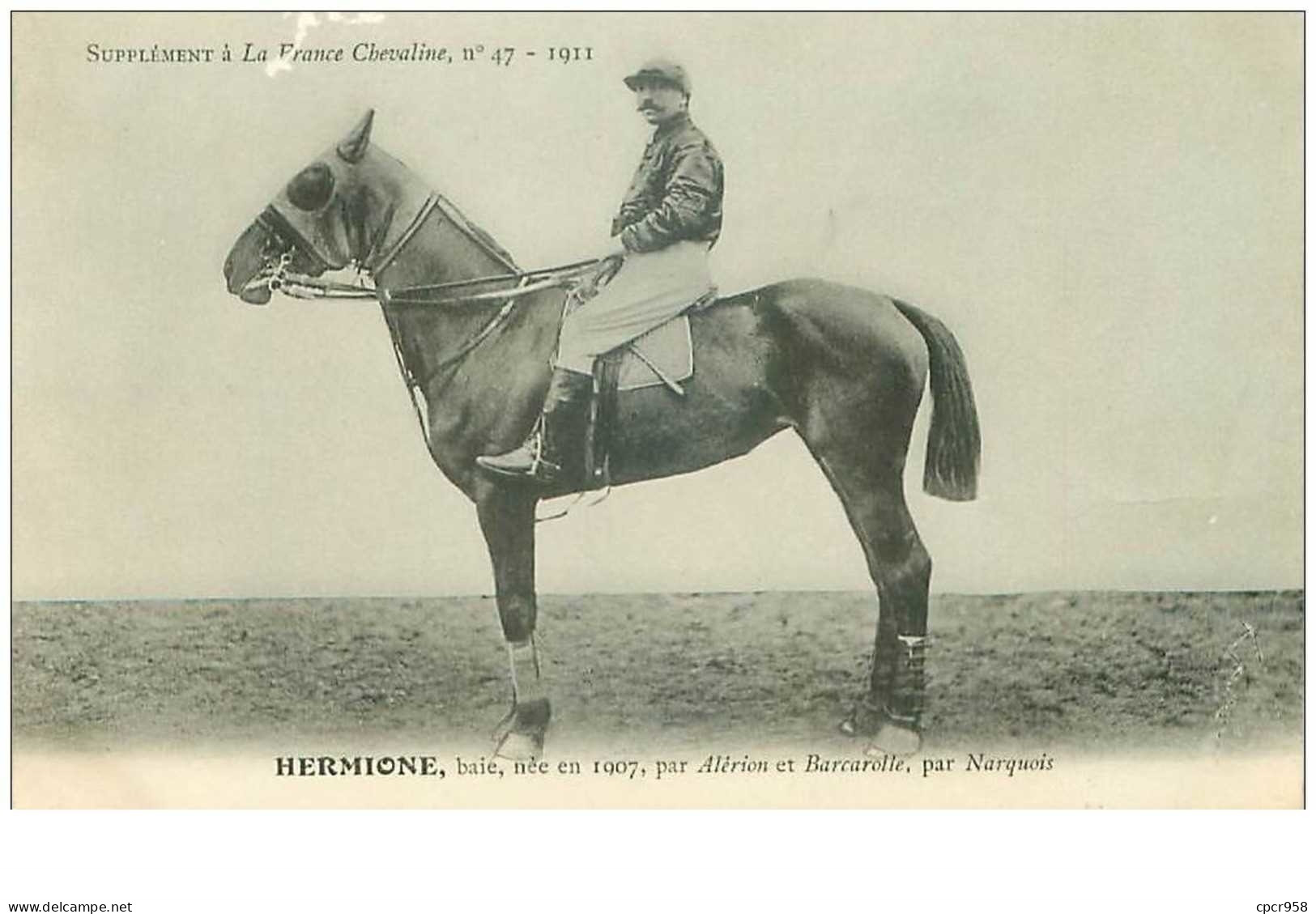 Hippisme.n°37605.hermione.baie .1911.CHEVAUX.SUPPLEMENT A LA FRANCE CHEVALINE.course.cheval.jokey. - Reitsport