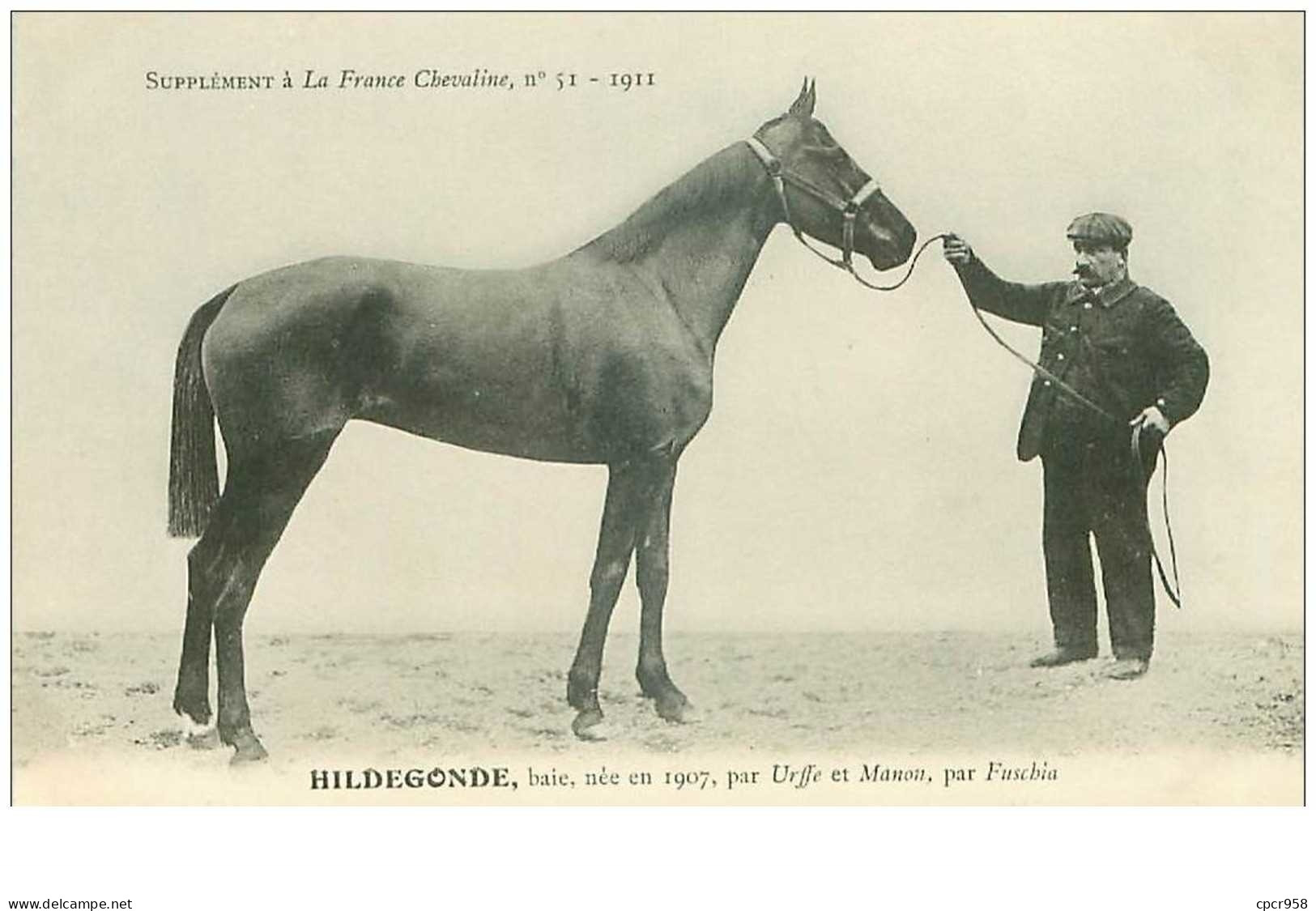 Hippisme.n°37603.hildegonde.baie .1911.CHEVAUX.SUPPLEMENT A LA FRANCE CHEVALINE.course.cheval.jokey. - Hípica