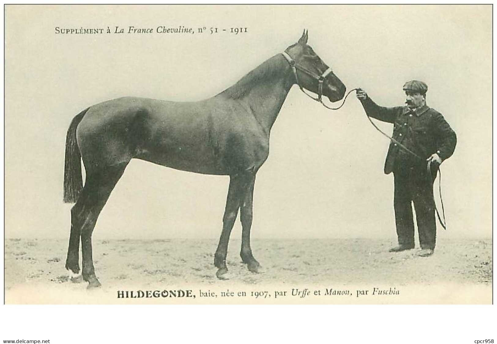 Hippisme.n°37603.hildegonde.baie .1911.CHEVAUX.SUPPLEMENT A LA FRANCE CHEVALINE.course.cheval.jokey. - Reitsport