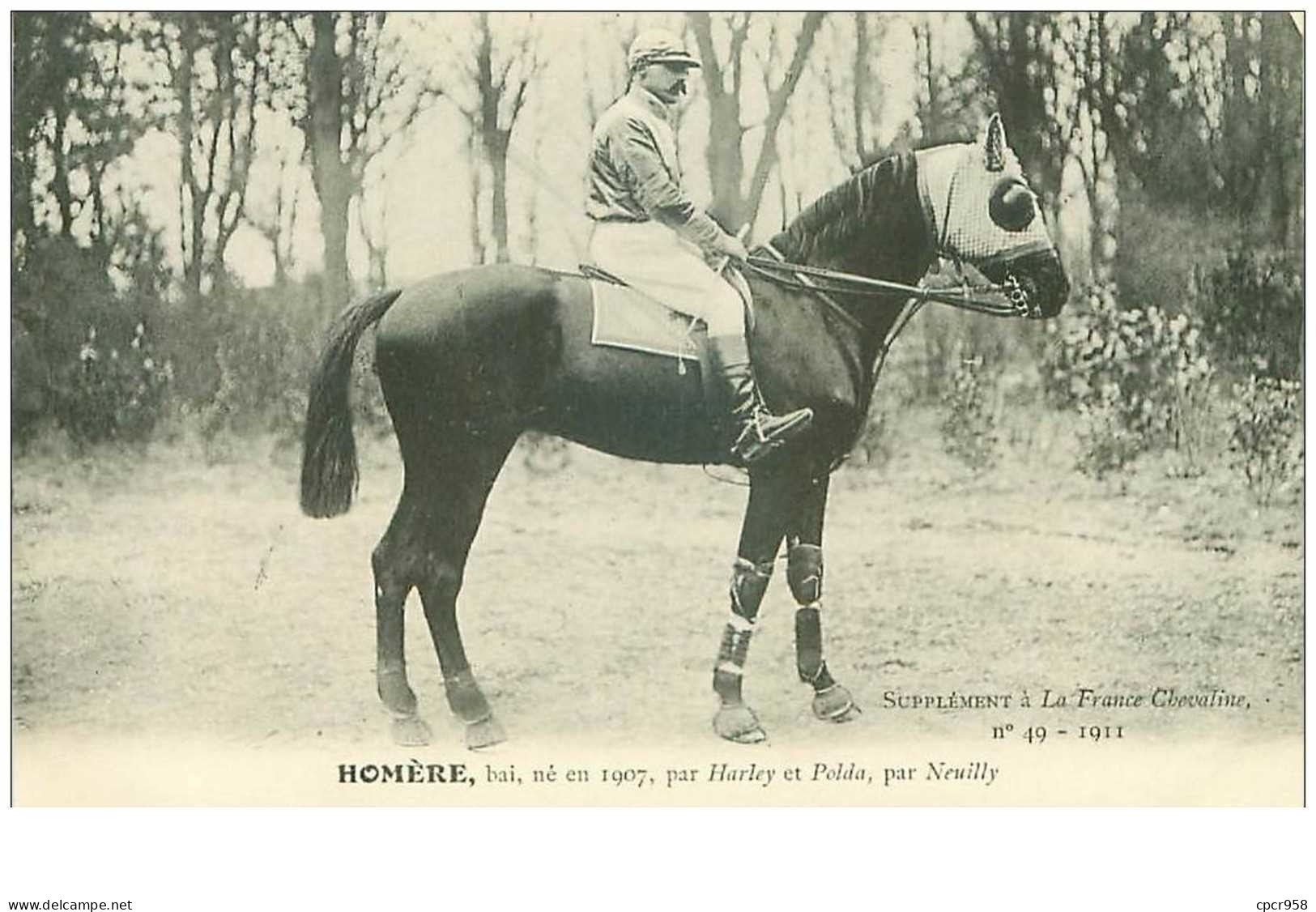 Hippisme.n°37600.homere.bai .1911.CHEVAUX.SUPPLEMENT A LA FRANCE CHEVALINE.course.cheval.jokey. - Horse Show