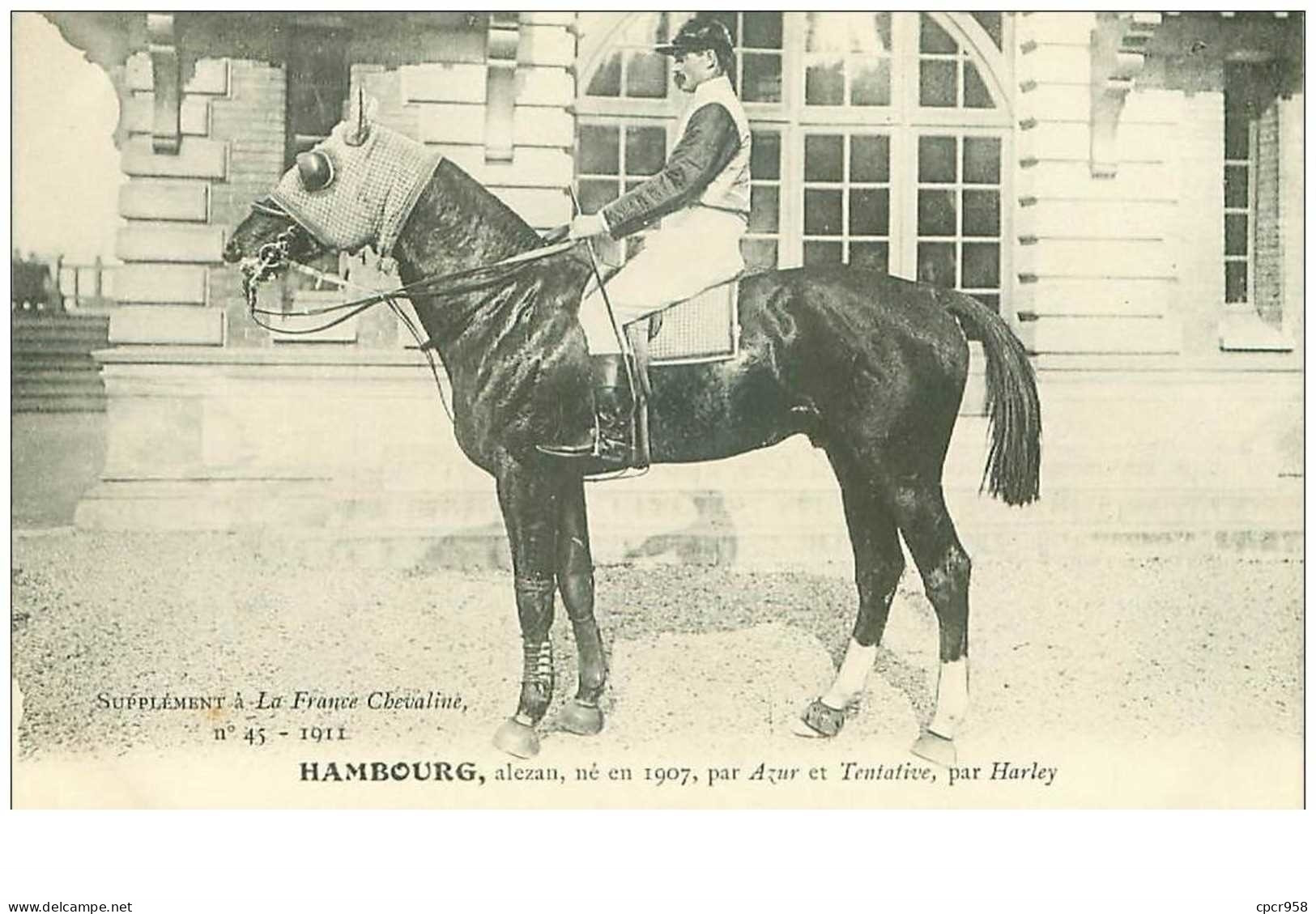 Hippisme.n°37604.hambourg.alezan .1911.CHEVAUX.SUPPLEMENT A LA FRANCE CHEVALINE.course.cheval.jokey. - Hípica