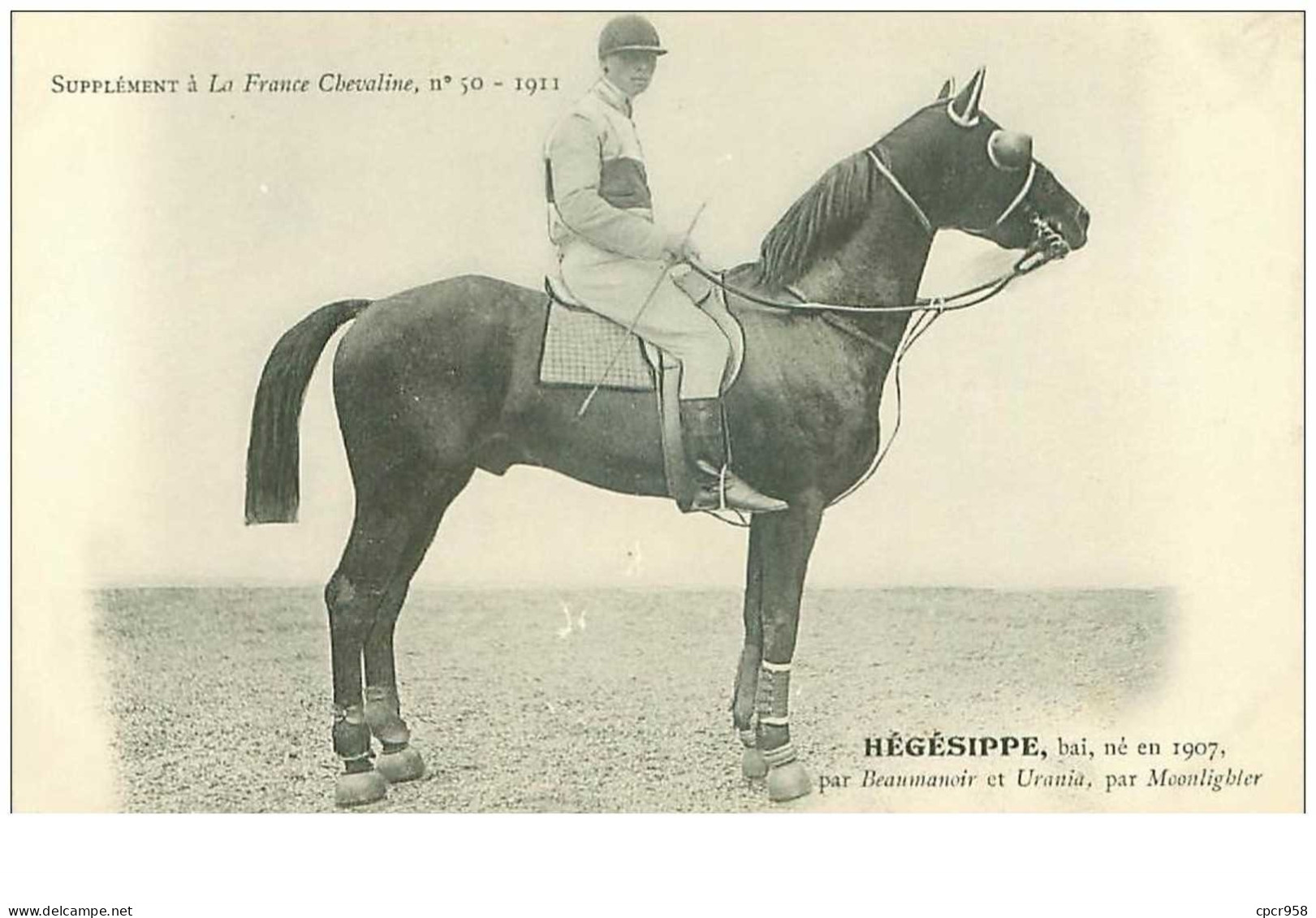 Hippisme.n°37601.hegesippe.bai .1911.CHEVAUX.SUPPLEMENT A LA FRANCE CHEVALINE.course.cheval.jokey. - Hípica