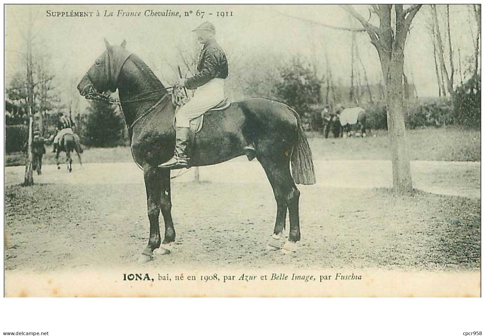 Hippisme.n°37597.iona.bai .1911.CHEVAUX.SUPPLEMENT A LA FRANCE CHEVALINE.course.cheval.jokey. - Reitsport