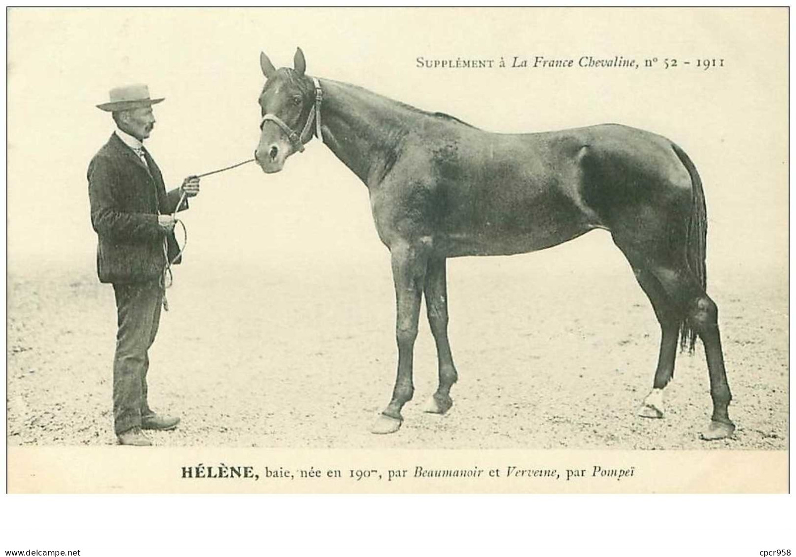 Hippisme.n°37602.helene.baie .1911.CHEVAUX.SUPPLEMENT A LA FRANCE CHEVALINE.course.cheval.jokey. - Reitsport