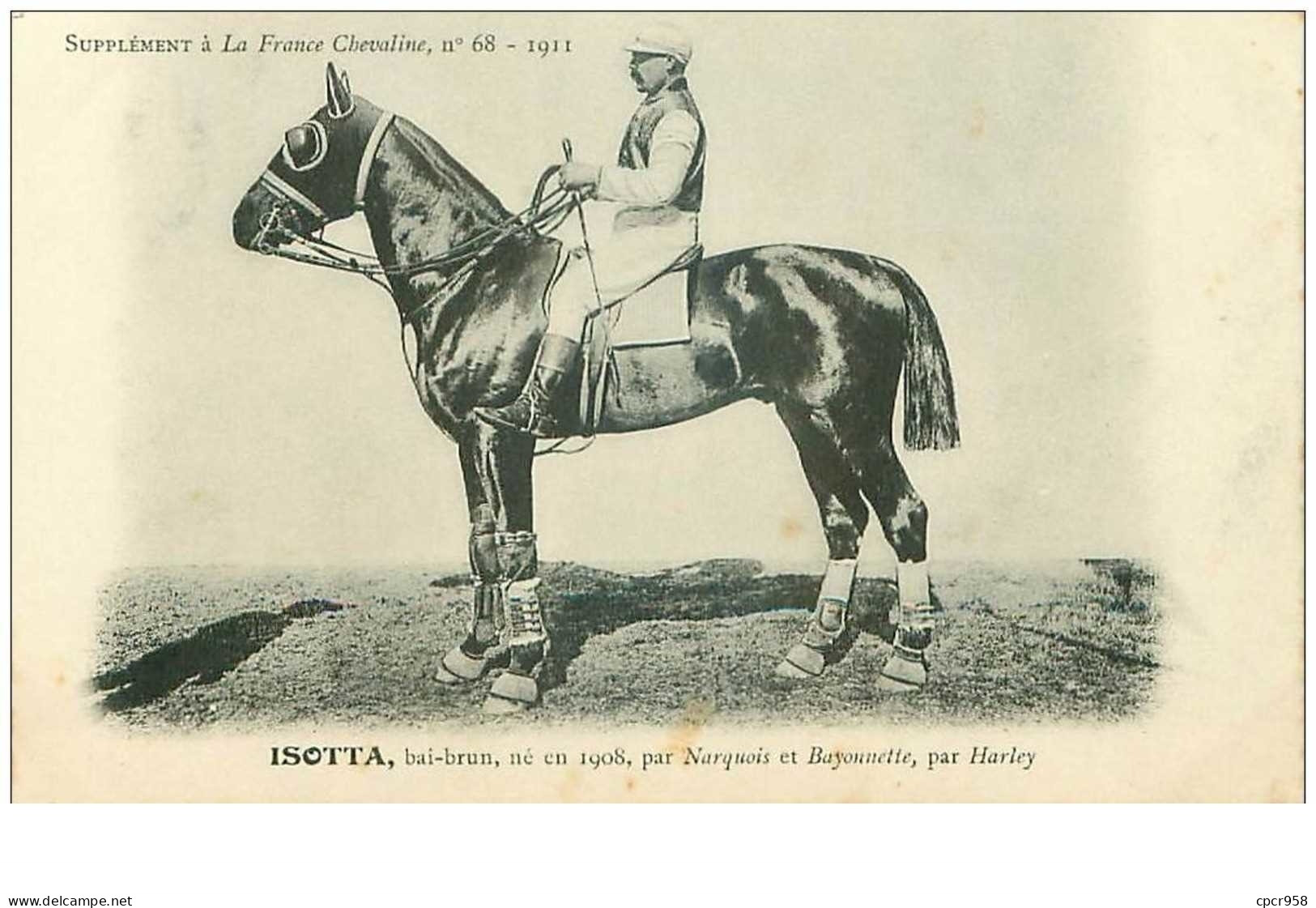 Hippisme.n°37598.isotta Bai-brun .1911.CHEVAUX.SUPPLEMENT A LA FRANCE CHEVALINE.course.cheval.jokey. - Hípica