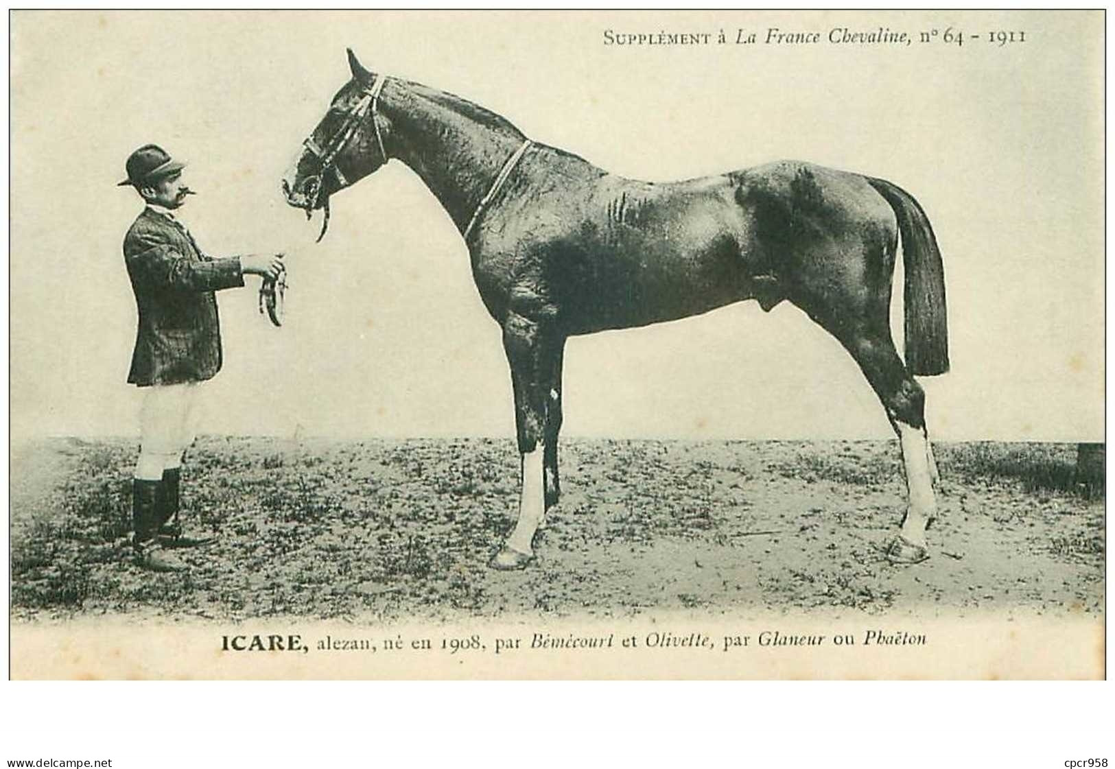 Hippisme.n°37594. Icare.1911.alezan.CHEVAUX.SUPPLEMENT A LA FRANCE CHEVALINE.course.cheval.jokey. - Hípica