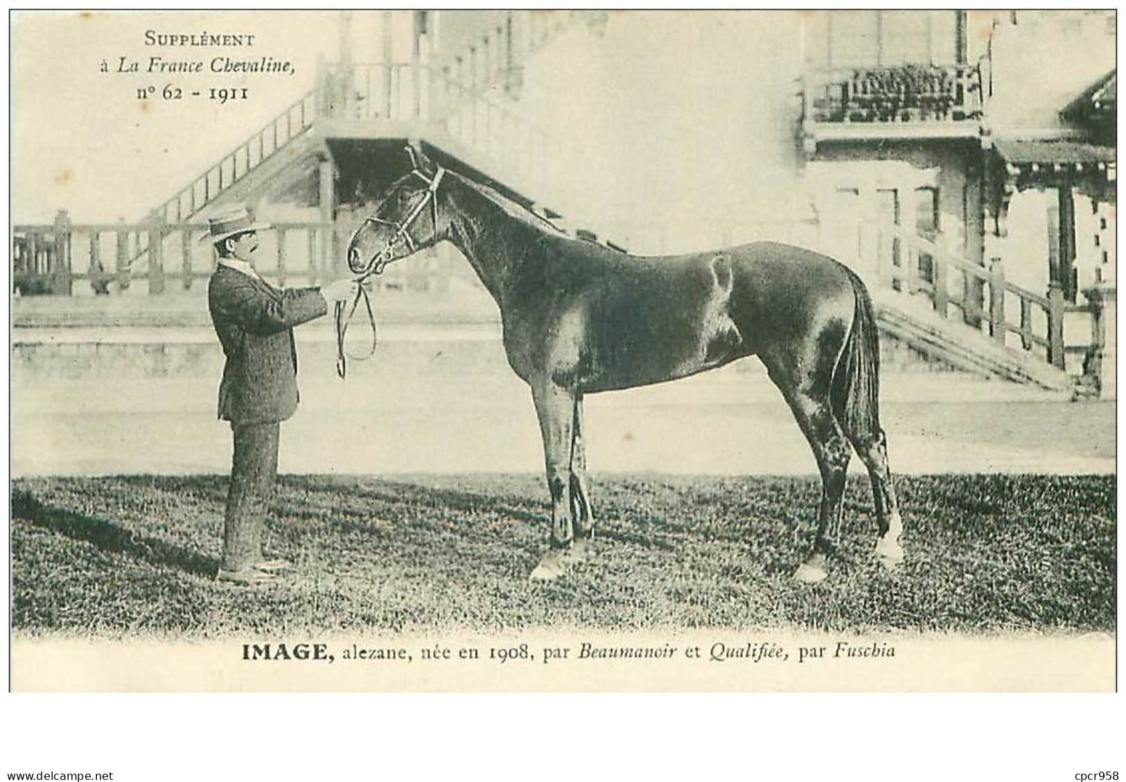 Hippisme.n°37593. Image.1911.alezane.CHEVAUX.SUPPLEMENT A LA FRANCE CHEVALINE.course.cheval.jokey. - Hípica