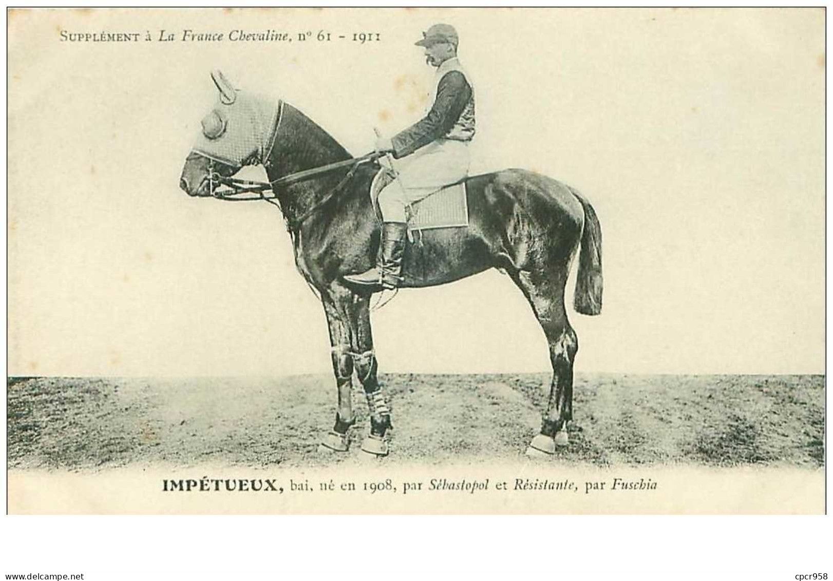 Hippisme.n°37595.impetueux.1911.bai.CHEVAUX.SUPPLEMENT A LA FRANCE CHEVALINE.course.cheval.jokey. - Hípica