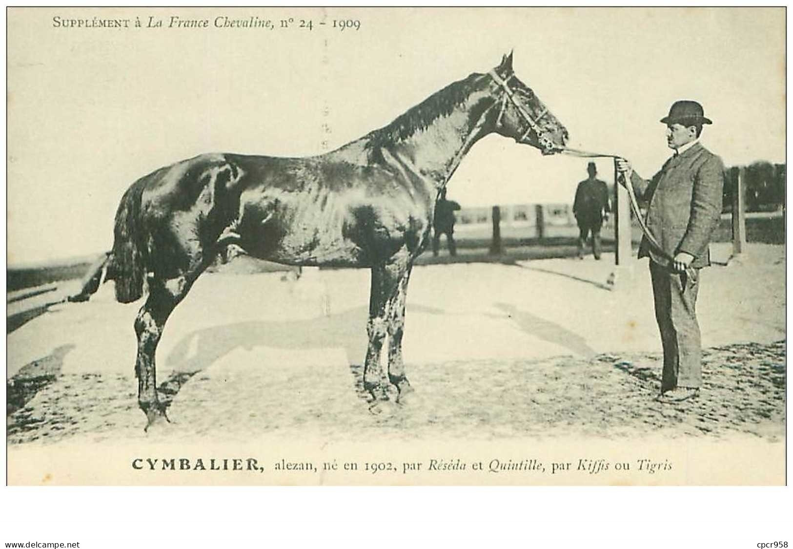 Hippisme.n°35999.cymbalier.alezan .1909.CHEVAUX.SUPPLEMENT A LA FRANCE CHEVALINE.dos Blanc.course.cheval.jokey. - Hípica