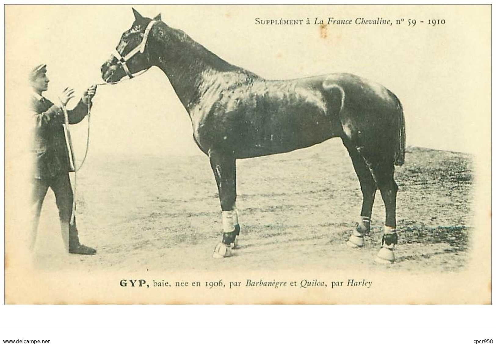 Hippisme.n°35995.gyp.baie .1910.CHEVAUX.SUPPLEMENT A LA FRANCE CHEVALINE.dos Blanc.course.cheval.jokey. - Horse Show