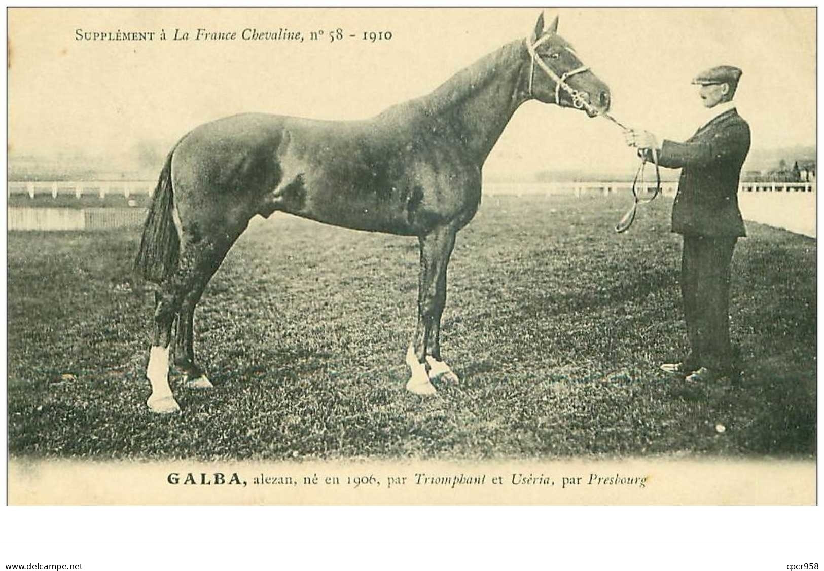 Hippisme.n°35993.galba.alezan .1910.CHEVAUX.SUPPLEMENT A LA FRANCE CHEVALINE.dos Blanc.course.cheval.jokey. - Reitsport