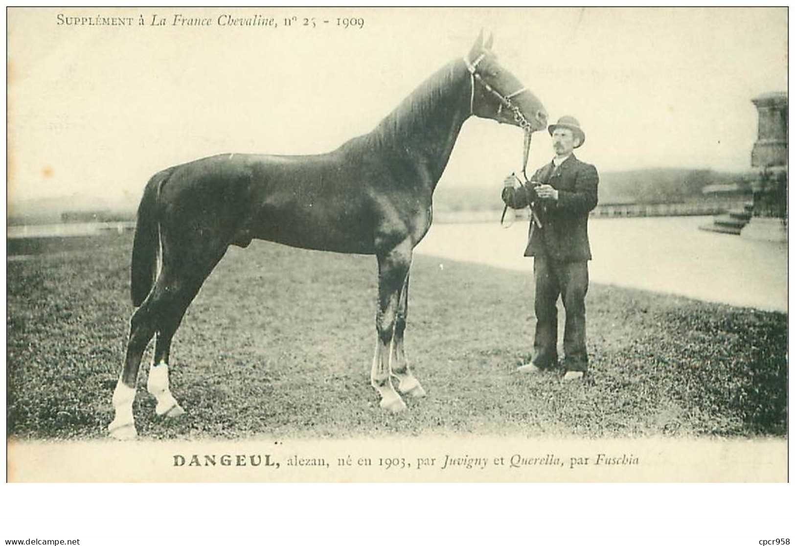 Hippisme.n°35998.dangeul.alezan .1909.CHEVAUX.SUPPLEMENT A LA FRANCE CHEVALINE.dos Blanc.course.cheval.jokey. - Hípica
